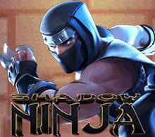 ShadowNinja